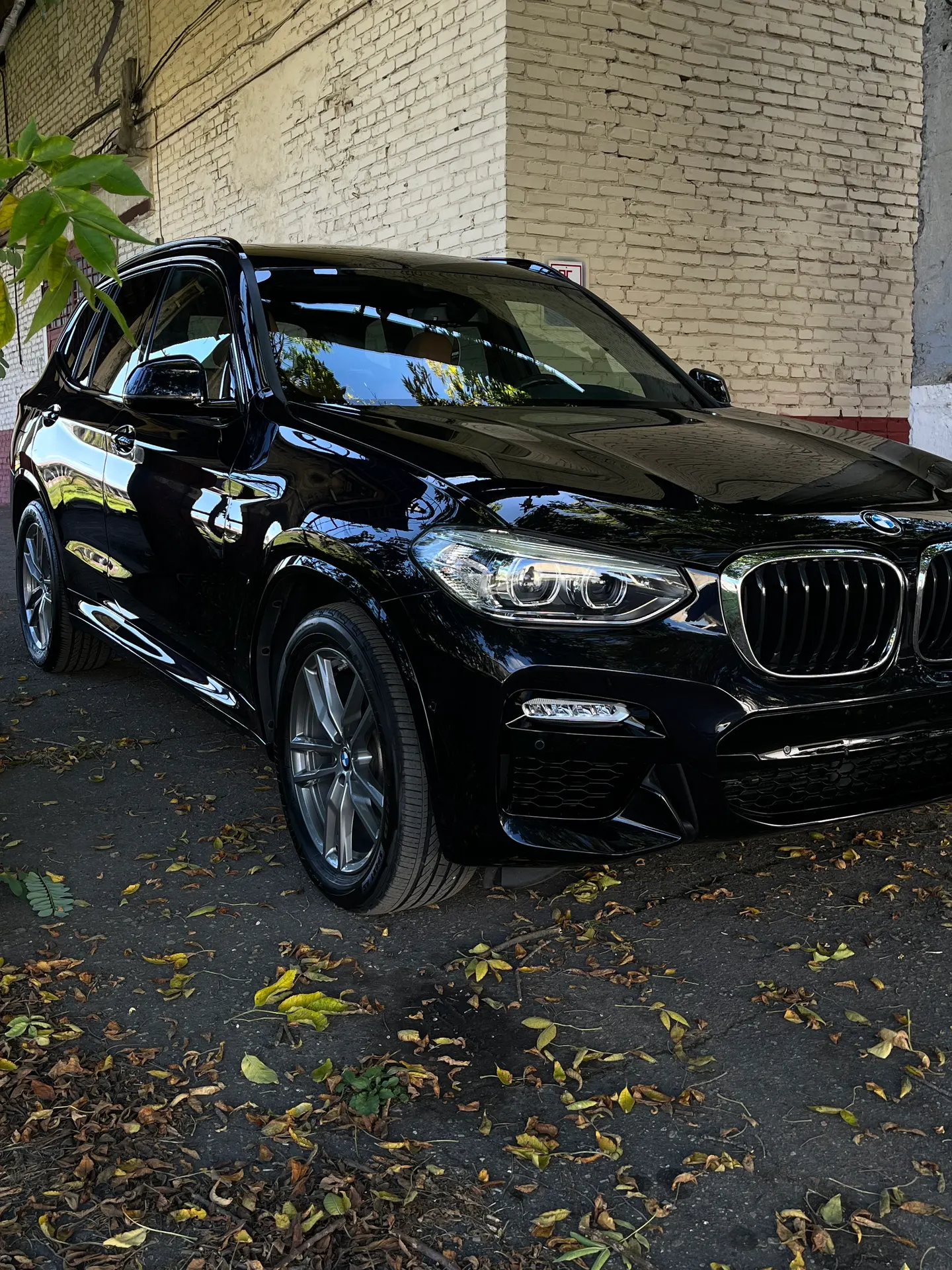 BMW X3 - Полировка, нанесение керамики - фото 3